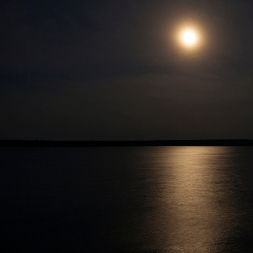 Sailing beneath a moonlit sky